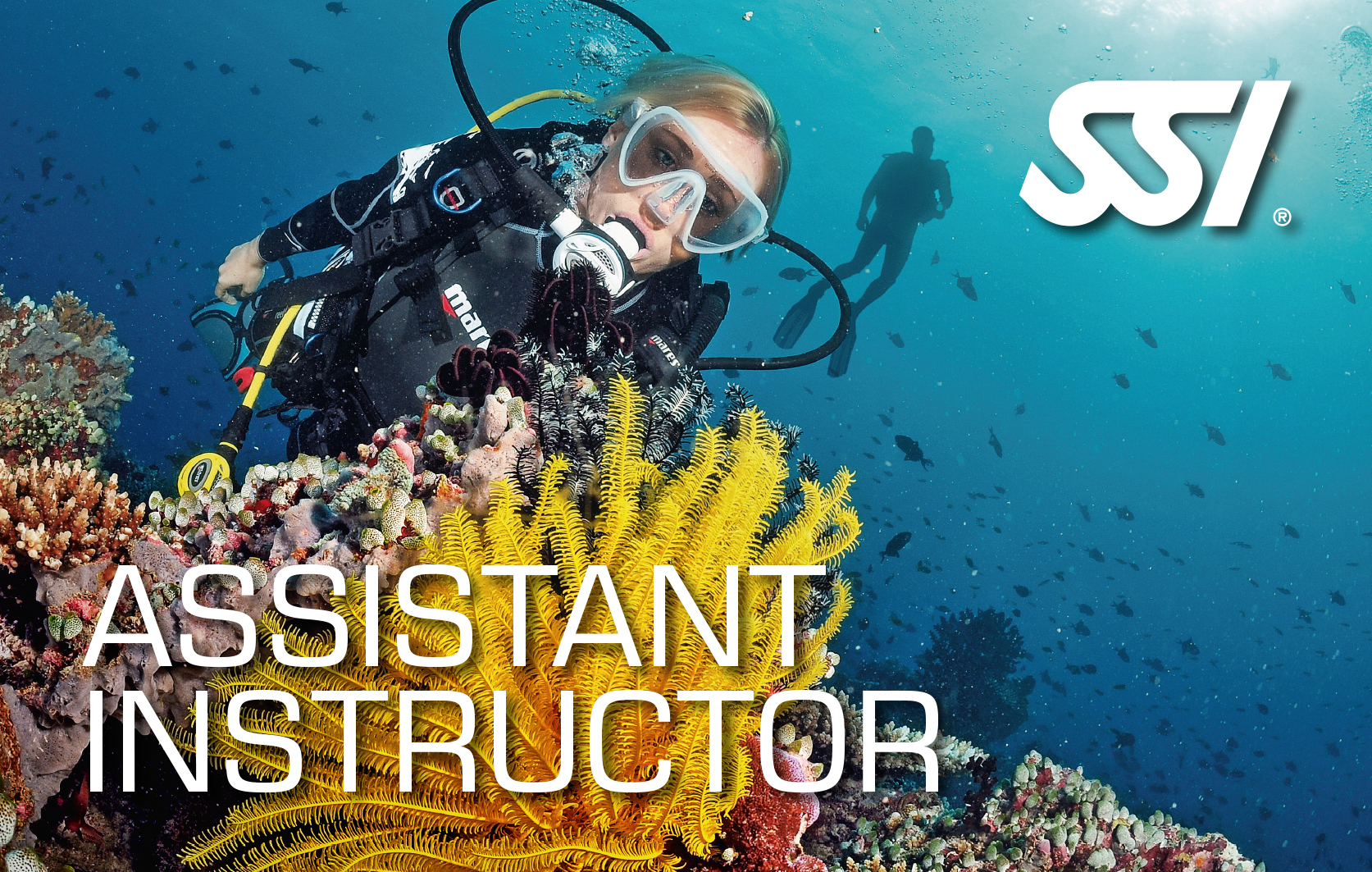 SSI Assistant Instructor with Lanzarote Dive Centre