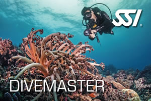 Go Professional with SSI at Lanzarote Dive Centre 