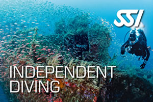 SSI Independent Diving Course at Lanzarote Dive Centre